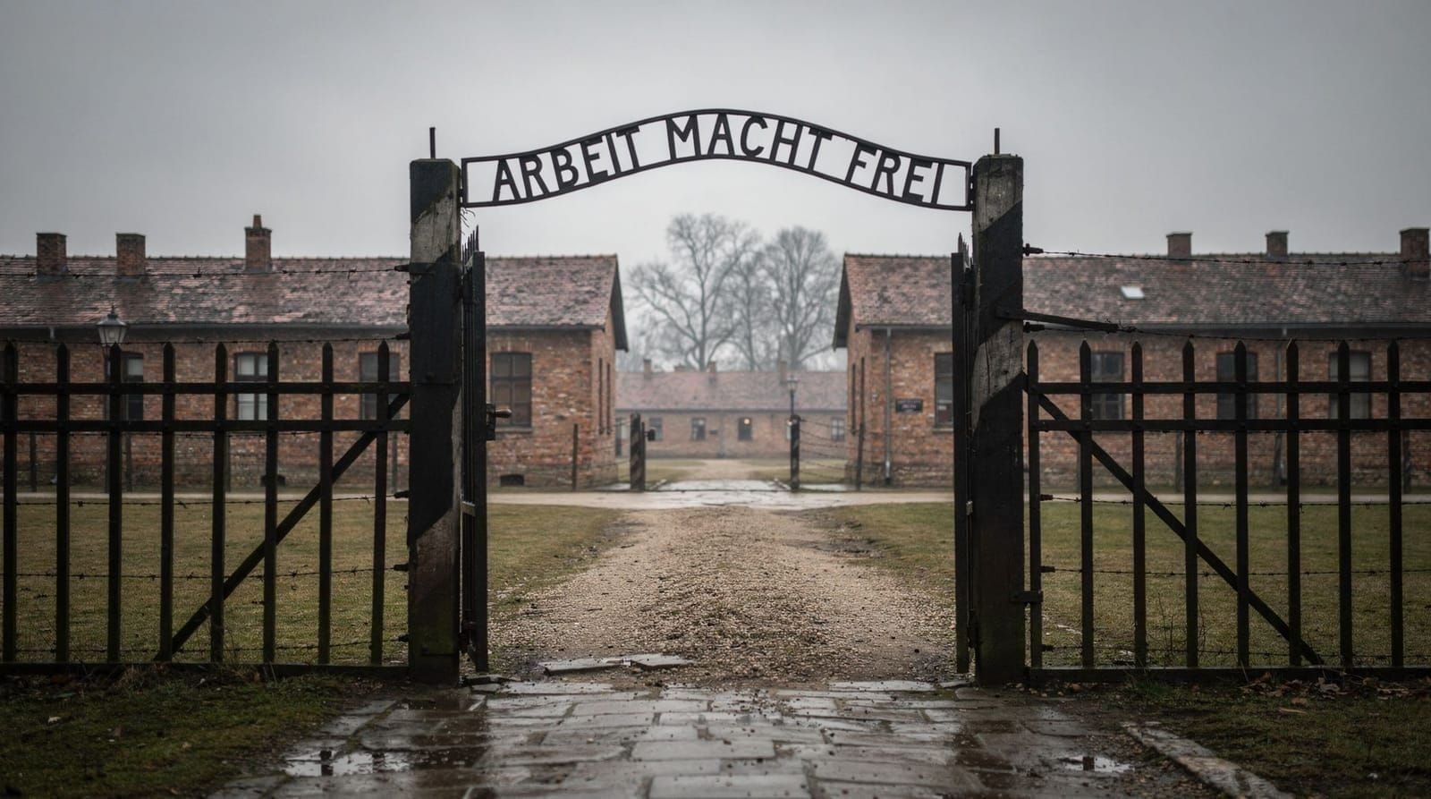 Warsaw to Auschwitz Day Trip: Full Logistics and What to Expect