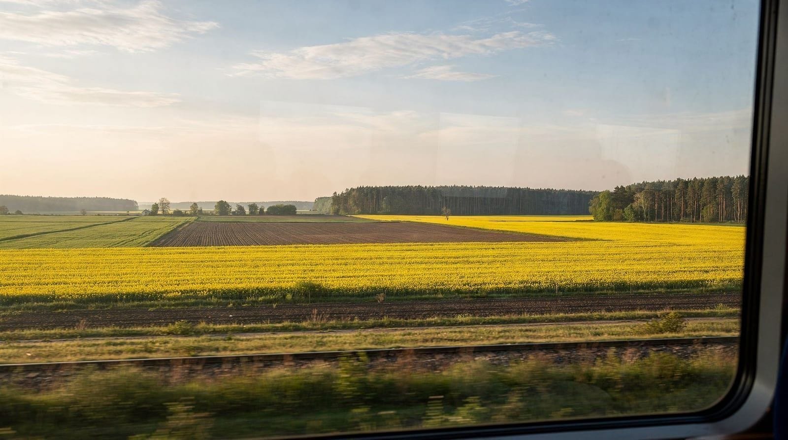 Warsaw 4–5 Days: City + Day Trips Itinerary